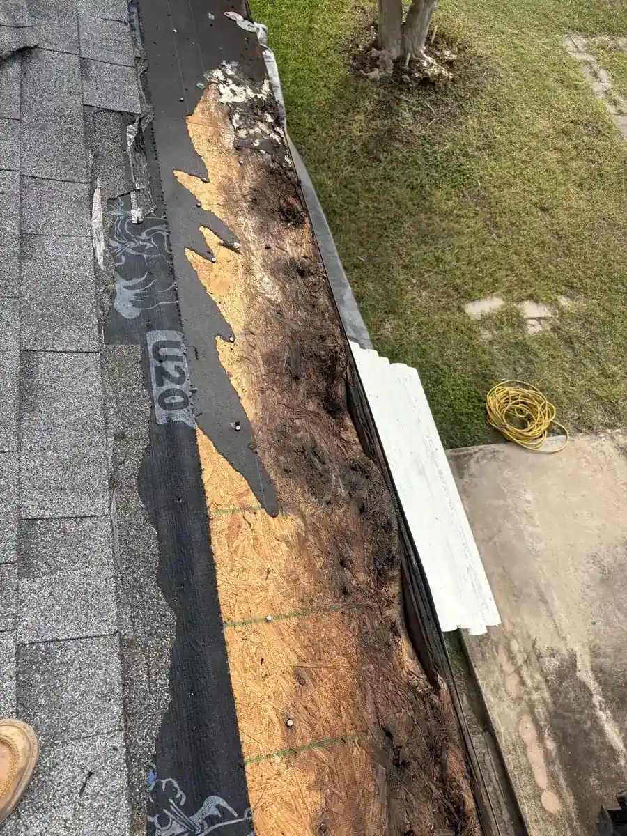 Rotted roof decking along the edge of the mobile home roof